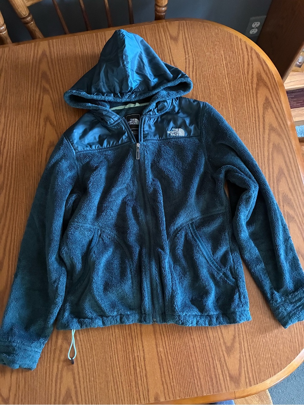 The North Face Teal Hooded Sherpa Jacket